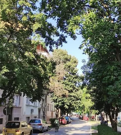 Michel * Novi Sad